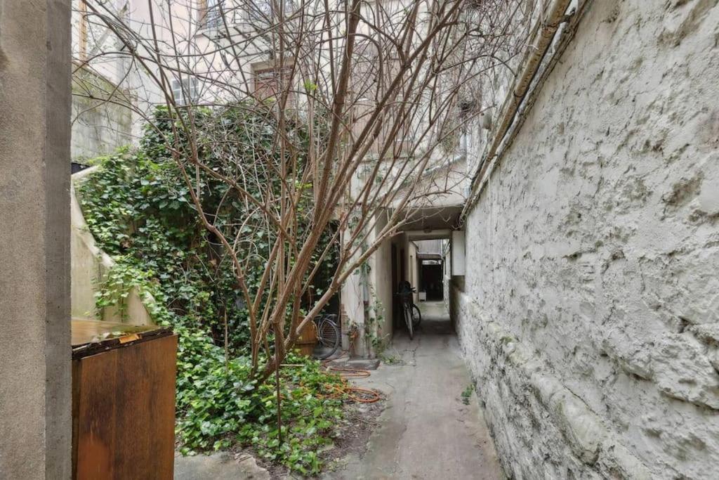 L'atypique -